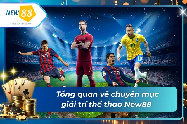 Giới thiệu sơ lược về sảnh thể thao tại New88 